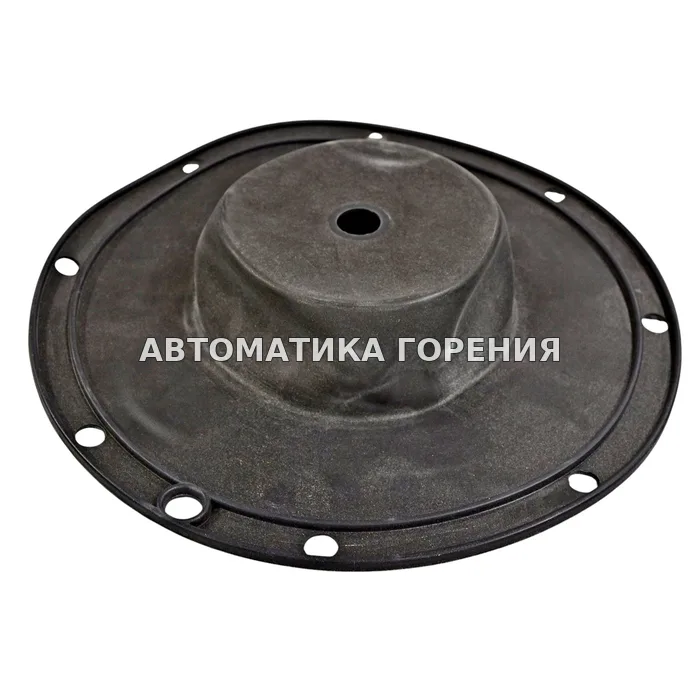 Ремонтный комплект для регулятора давления Dungs FRS DN100 091876 для газовой горелки